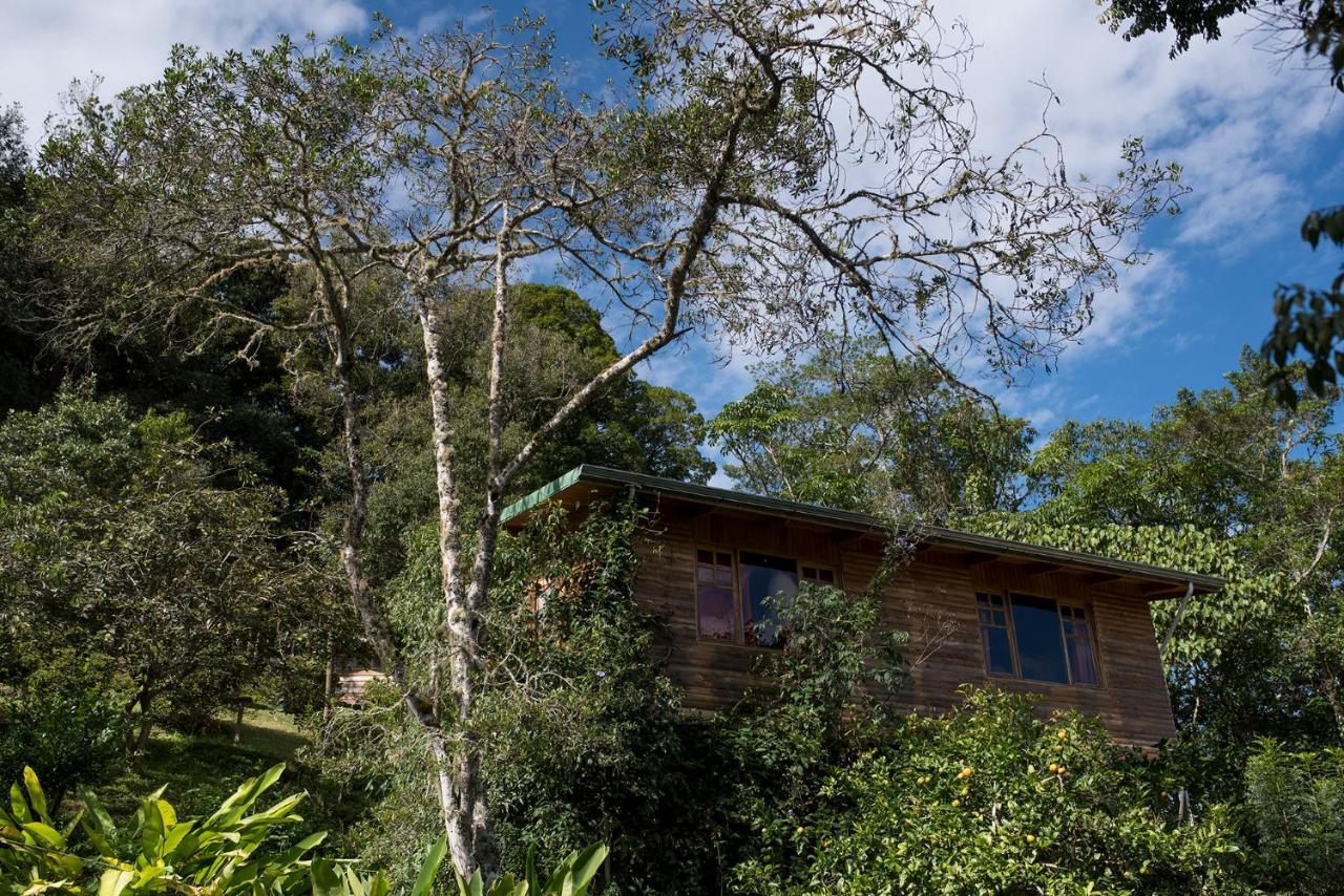 Cedrela Eco-Lodge & Restaurante Copey Exteriör bild