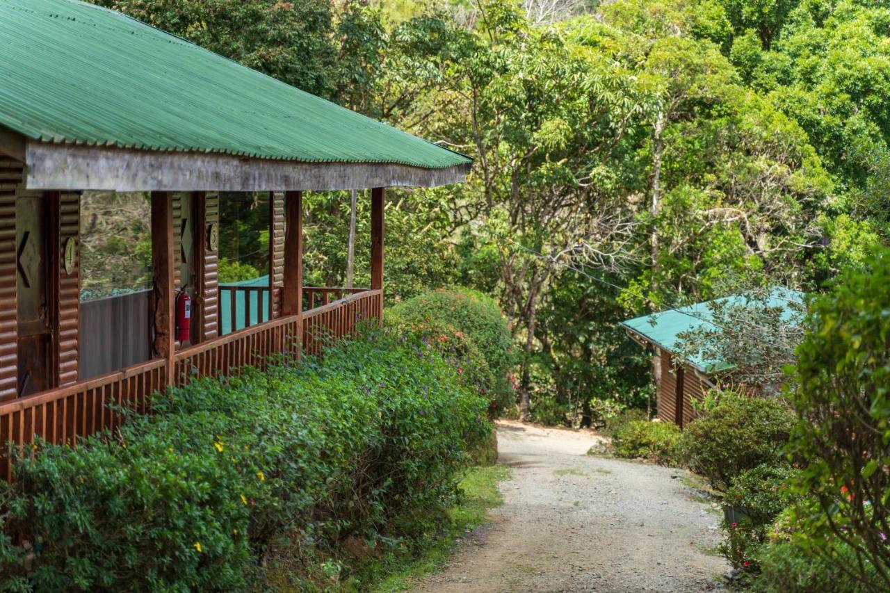 Cedrela Eco-Lodge & Restaurante Copey Exteriör bild