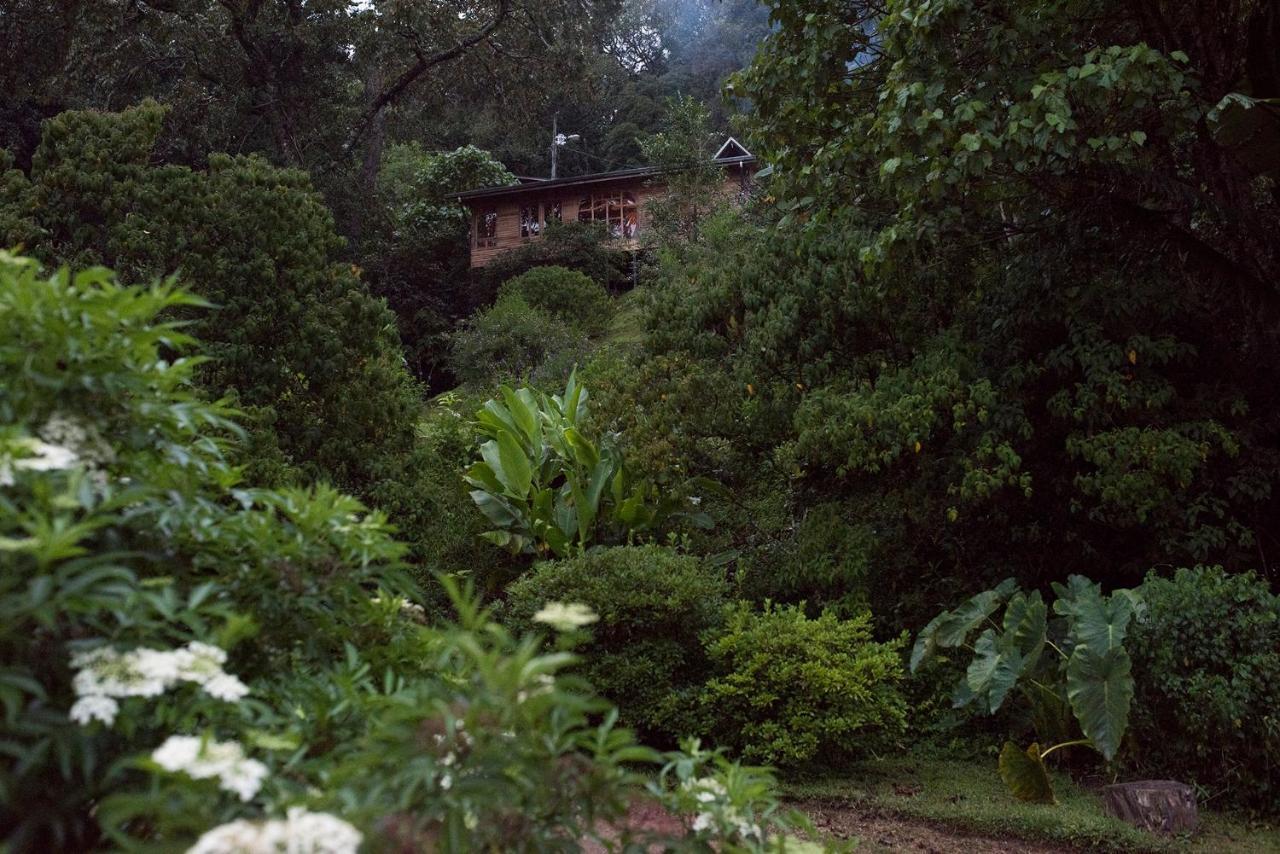 Cedrela Eco-Lodge & Restaurante Copey Exteriör bild